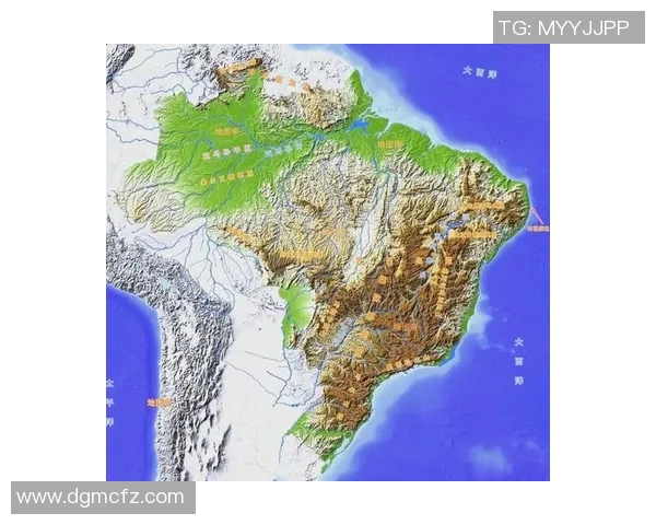 法国足球明星的辉煌历程与成就英语介绍