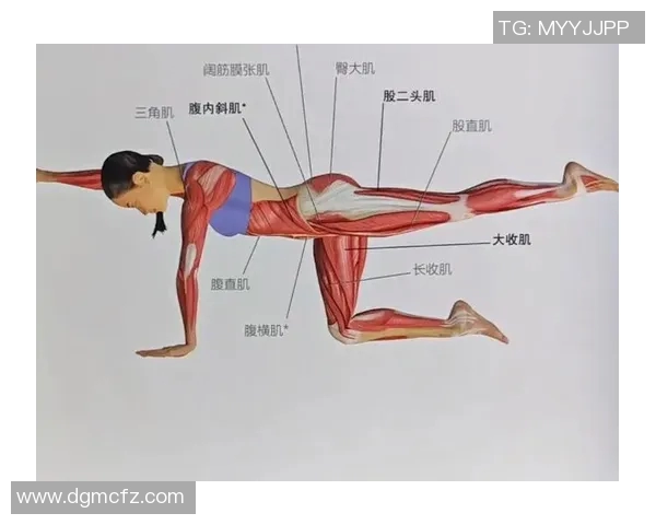 提升核心力量的家用腹肌运动器材推荐与使用指南